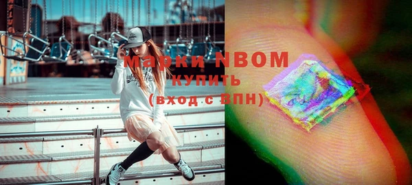 твердый Верхний Тагил