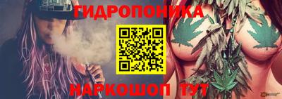 spice Бузулук